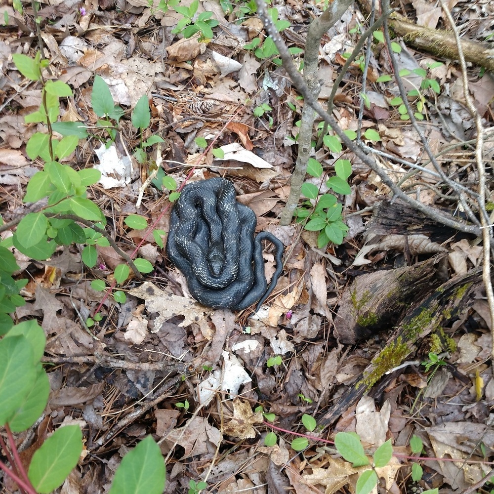 Meet your Posher, Jo